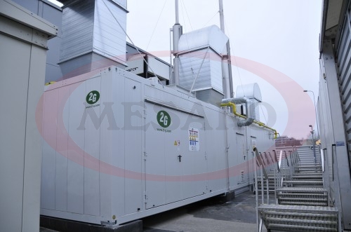 Container type cogeneration station with a gas engine installation